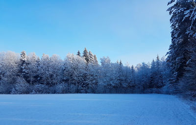 Winterwonderland on a cold crisp sunny day