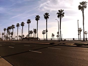 Road by palm trees against sky in city