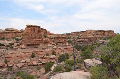 Canyonlands national park needles district - looking east from big spring canyon overlook