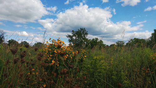 View of field against cloudy sky