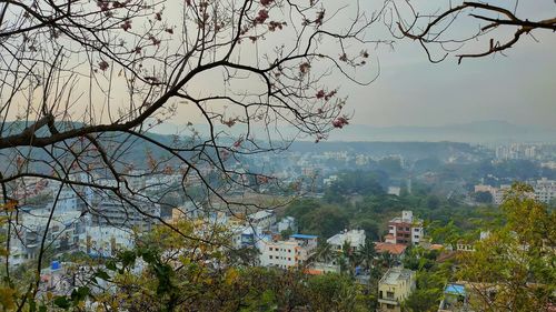 High angle view of trees and buildings in city