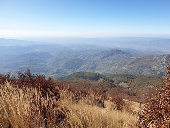 Scenic view of landscape against sky