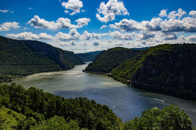 Scenic view of river danube amidst trees in forest against sky