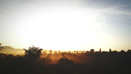 Silhouette trees on landscape against sky