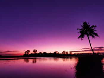 Silhouette palm trees by lake against romantic sky at sunset