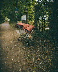 Empty bench in park