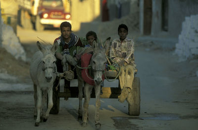 Rear view of man riding horse
