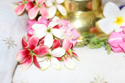 Close-up of pink flowering plant on table