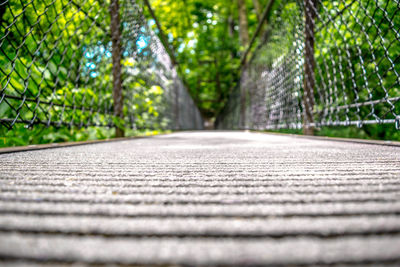 Surface level of road amidst trees in park