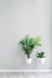 Potted plant on table