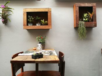 Potted plant on table