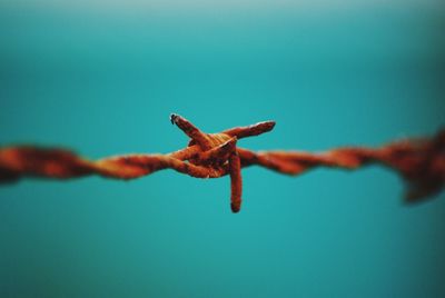 Close-up of rusty barbed wire against clear blue sky