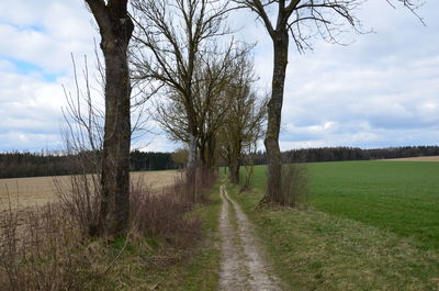 Road amidst bare trees on field against sky