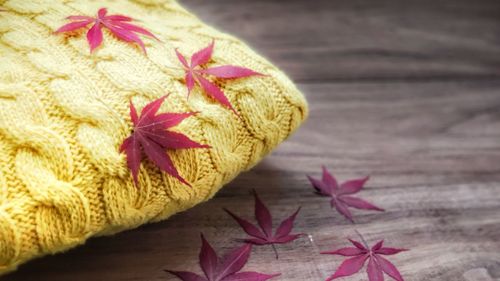 Close-up of maple leaves on table