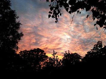 Silhouette of trees against cloudy sky