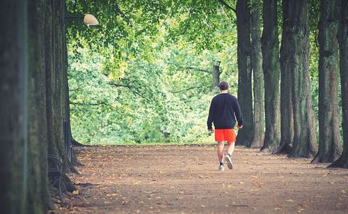 Rear view of man walking in forest