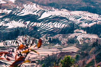 Scenic view of landscape and mountains