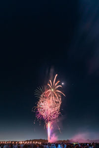 Low angle view of firework display at night