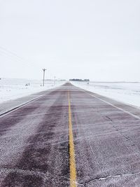 Road along trees