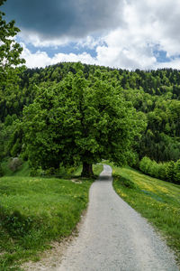 View of road and lush, green landscape against cloudy sky