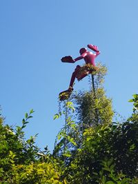 Low angle view of red flowering plant against clear sky