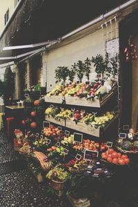 Close-up of flowers in store
