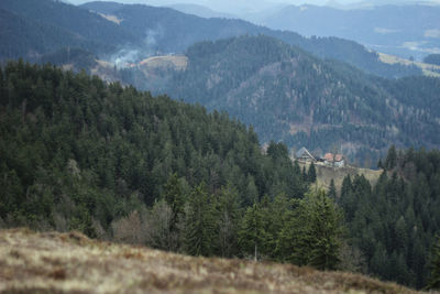 High angle view of trees and mountains