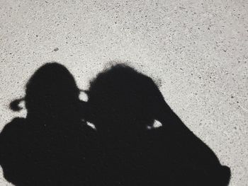 Shadow of couple on beach