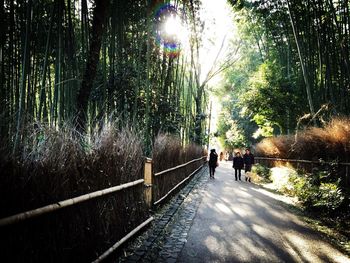 People walking on road amidst trees