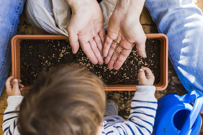Mother and son planting seeds in flower pot while sitting at balcony