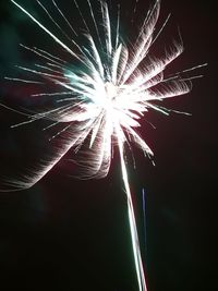 Low angle view of firework display at night