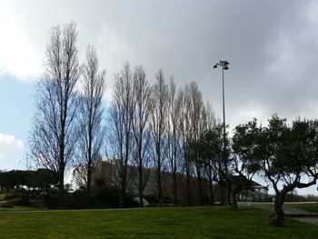 Trees on grassy field against cloudy sky