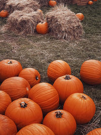 High angle view of pumpkins