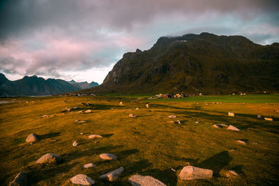 Scenic view of field and mountains against sky during sunset, lofoten, norway