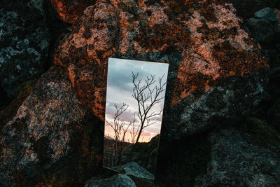 Reflection of bare tree in mirror by rock