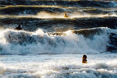 Man surfing on beach