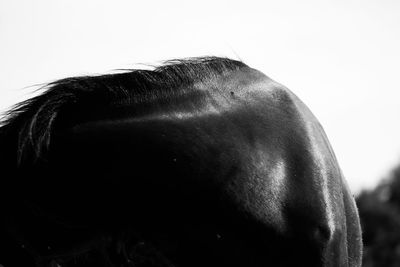 Close-up portrait of man against white background