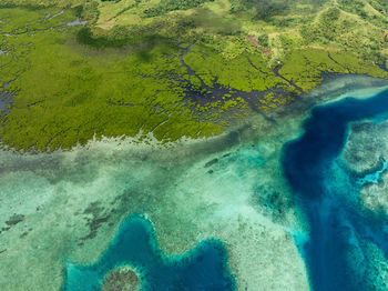 Aerial view of beach