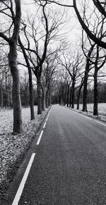 View of empty road along bare trees