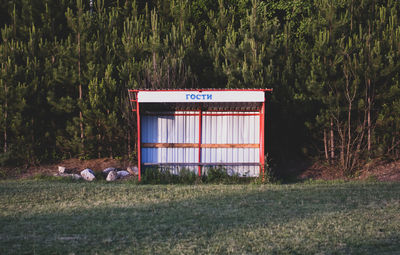 View of an animal on field