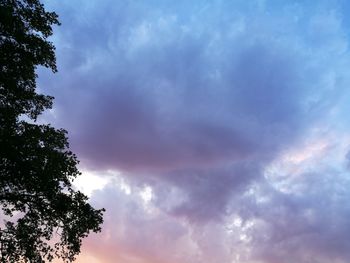 Low angle view of tree against cloudy sky