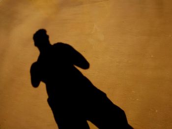 Silhouette man standing on floor during sunset