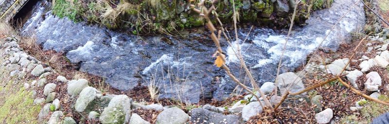 Stream flowing through rocks in forest