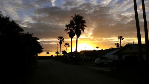 Palm trees on road against cloudy sky