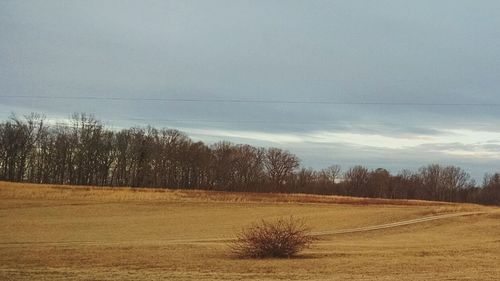 Scenic view of field against cloudy sky