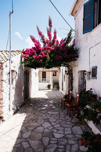 Alley amidst houses against buildings in city