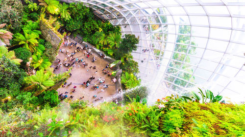 High angle view of trees and buildings in city