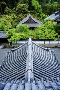 Low angle view of building against trees in forest