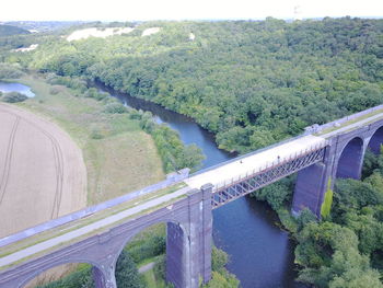 Bridge over river amidst trees