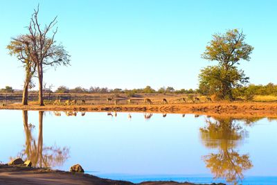 Scenic view of lake against clear blue sky